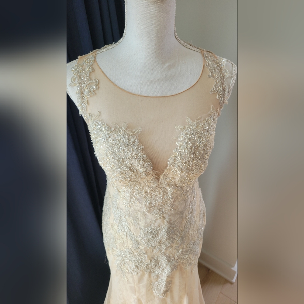 DAVIDS BRIDAL | Champagne Lace Beaded Dress - Picture 6 of 16
